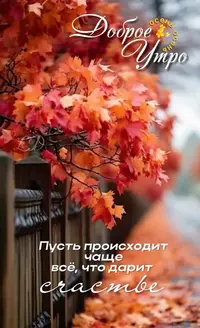 0085f67b94ad36a530669bde68e2d5a1.webp
