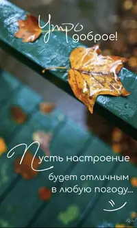 6e48f52e7d1dd4d01cf59eb576007452.webp