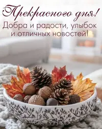 IMG_6342.webp