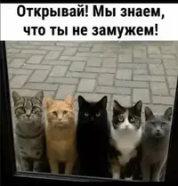 007_143149_188.webp