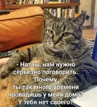 IMG_6350.webp
