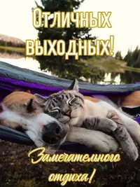 0b7a1da46978a89d1701d5f37c1571df.webp