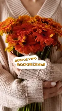 11d36ca87a3bf1c8e363957bb70199ae.webp