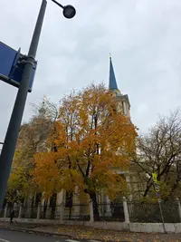 20251008_141541.webp