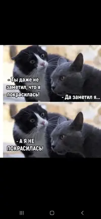 Screenshot_20251010_221536_Gallery.webp