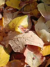 20251012121331.webp