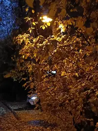 20251012175916.webp