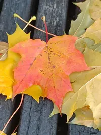 20251012114358.webp