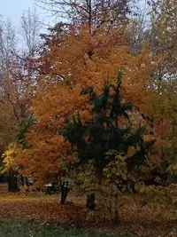 20251012173005.webp