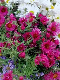 imgonline-com-ua-Resize-NuspR0hEZwj1.webp