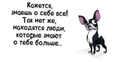 IMG_20251012_160618.webp