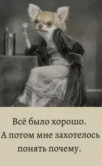 93c5791a0e7571ce764d386d1491c807.webp