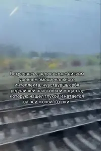1000004634.webp 1000004634.webp