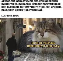14_113214_505.webp