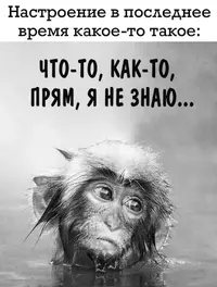 0b0b093f2eb90af0449bd4105269baf7.webp