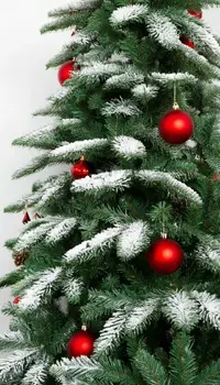 02089 Стереотипы.webp
