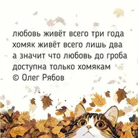 1000043634.webp