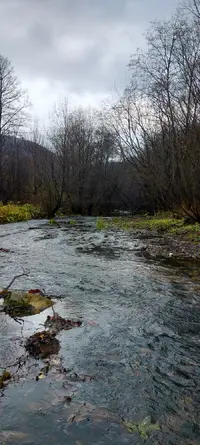 IMG20251019125945.webp