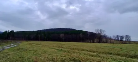 IMG20251019135101.webp