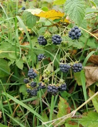 20251019_170226.webp