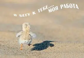 1000144617.webp
