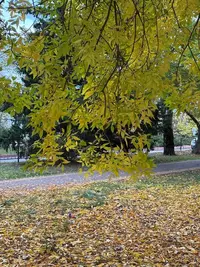 imgonline-com-ua-Resize-1hiJd2UJzHXqTdy.webp