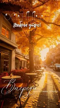 20_081954_602.webp