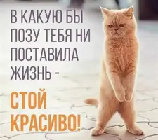 IMG_20251020_105737.webp