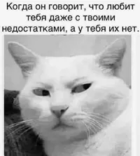IMG_6771.webp
