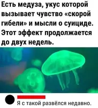 1000144886.webp