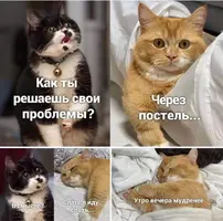 032238a1fe07e56076b9de414dbe72ac.webp