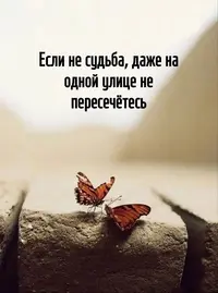 51022_205027_385.webp 51022_205027_385.webp