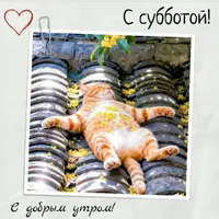 gSTp2vLuVbc.webp
