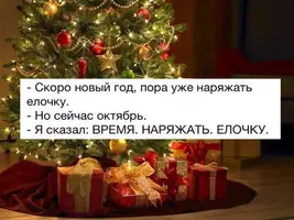 2301788490.webp