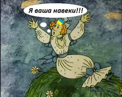 4072593.webp
