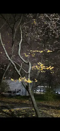 Screenshot_20251025_205103_Gallery.webp