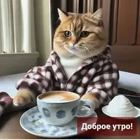 BBBnJyph.webp