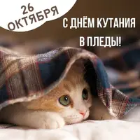 2079.webp