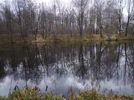 IMG-20251026-WA0002.webp