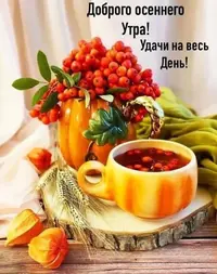 imgonline-com-ua-Resize-YXArIJmg2IljEn.webp