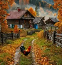 IMG_20251025_112655.webp