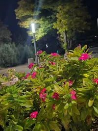 imgonline-com-ua-Resize-BV7iwk7315mfe.webp