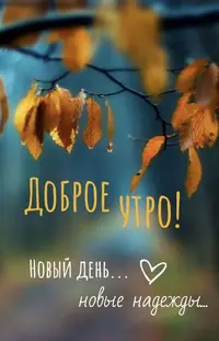 a8072eb23aebc84eb85e3fcc980ea45f.webp