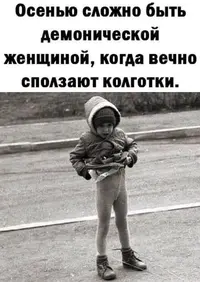 565890896ae1e9f9bba342d276c8b956.webp