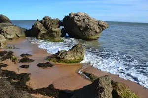 imgonline-com-ua-Resize-a3ATvjdDIV.webp