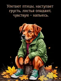 imgonline-com-ua-Resize-DIIcF3wZ1J.webp