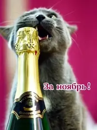 imgonline-com-ua-Resize-Baw8HhyO7q.webp