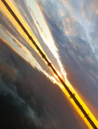 E251102,-14os.webp