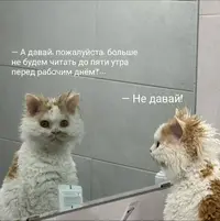 xq6HBA8P-_w.webp