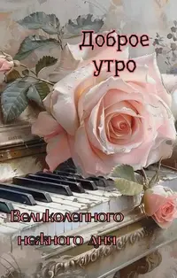 013_222103_599.webp